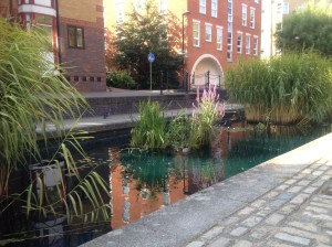 Sunny walk to Canada Water - enjoying the ducks, coots and other wildlife!