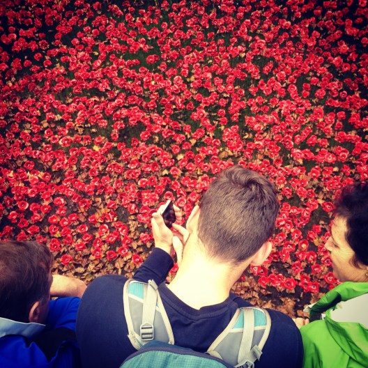 Went to see the very impressive Paul Cummins poppy installation at the Tower of London