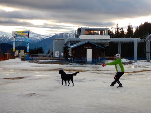 However it wasn't like this a week ago on a dog walk at home when water-skiing was more appropriate.