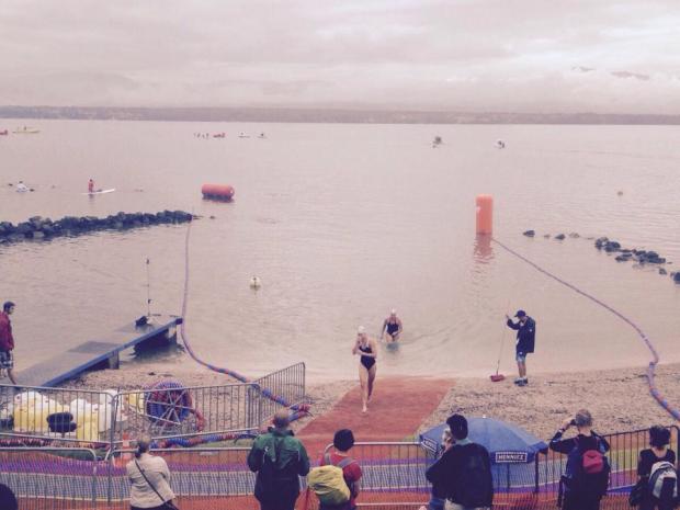 11855606_10153244794392525_1612939199_n