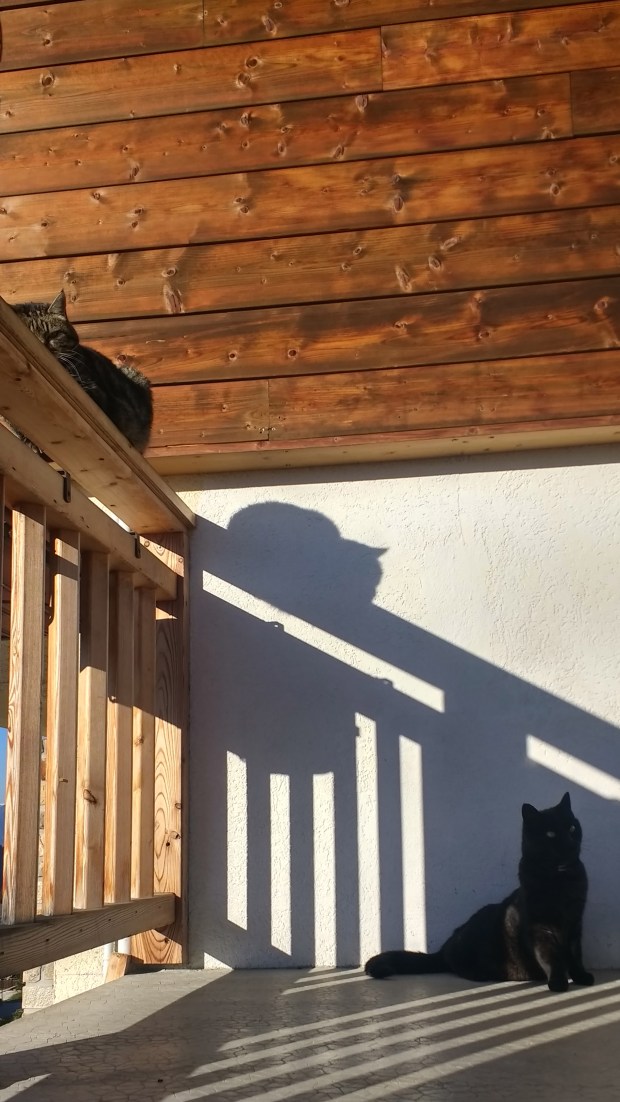 IMG_20170421_081944592_HDR