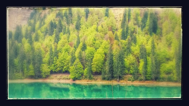 IMG_20170514_103534271-EFFECTS