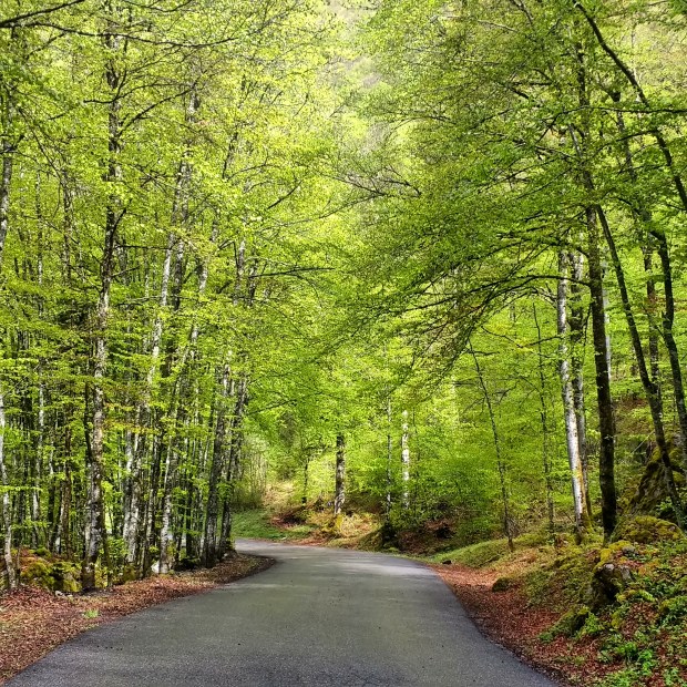 IMG_20170514_123754_245