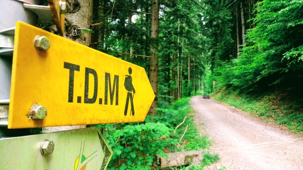 IMG_20170612_112648691