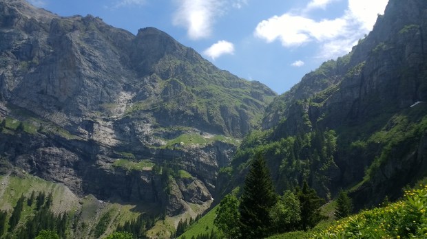 IMG_20170613_134623042