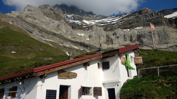 IMG_20170613_181502479