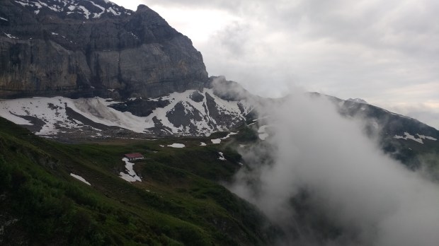 IMG_20170614_082710435