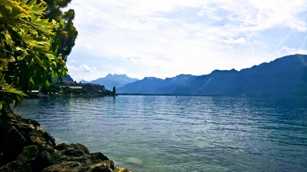 FB_IMG_1502899018918