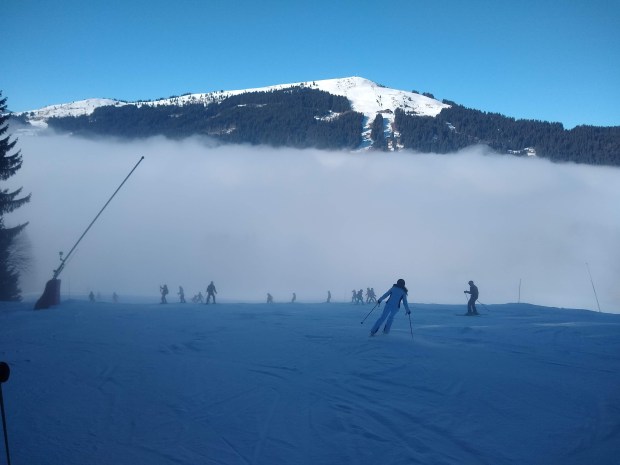 img_20190101_130552758