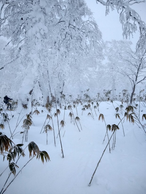 img_20200112_141512989_hdr