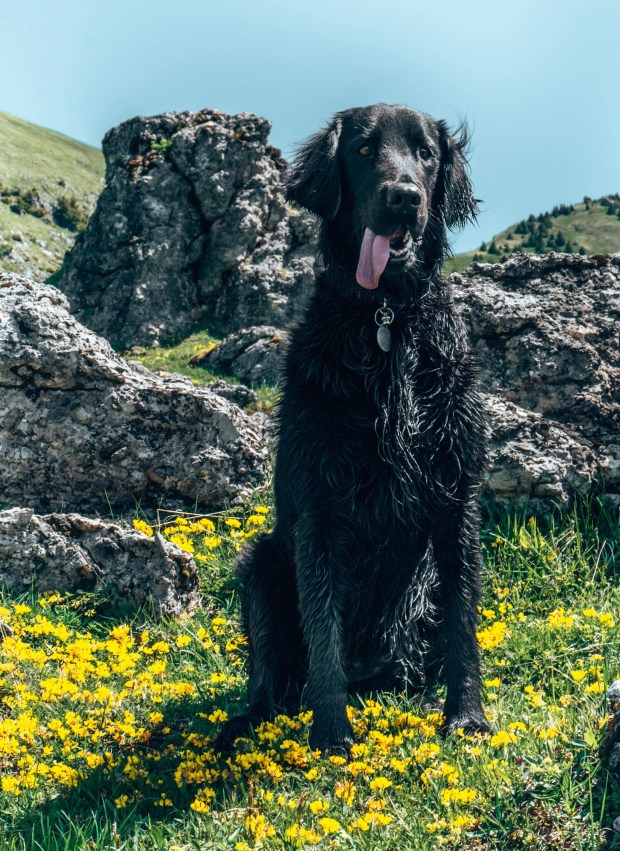 received_590715901853271